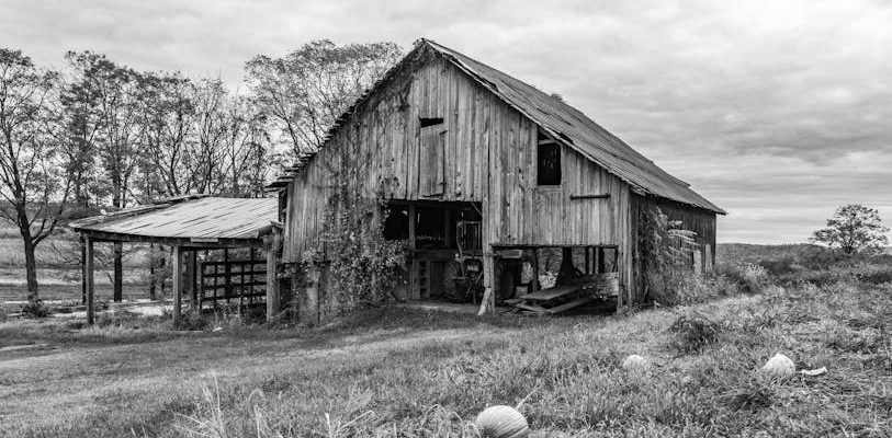 迷你倉｜輕鬆搞定你的收納困擾！