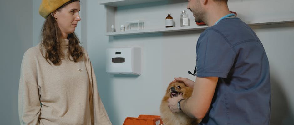 動物急症：關鍵知識與應對措施