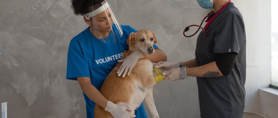 珍禽異獸醫院的專業指導報告
