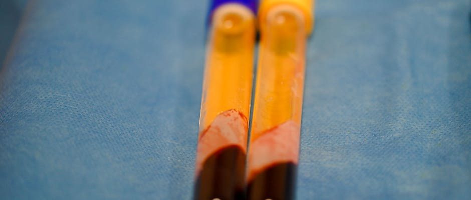 臍帶血：生命起源的儲蓄計畫與存在的哲學難題